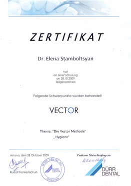 Стамболцян Е.В. 2009 г. Прошла обучение «Die Vector Methode. Rudolf Trenkenschuh»