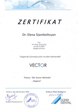 Стамболцян Е.В. 2009 г. Прошла обучение «Die Vector Methode. Rudolf Trenkenschuh»